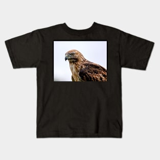 Red Tailed Hawk Stare Down Kids T-Shirt